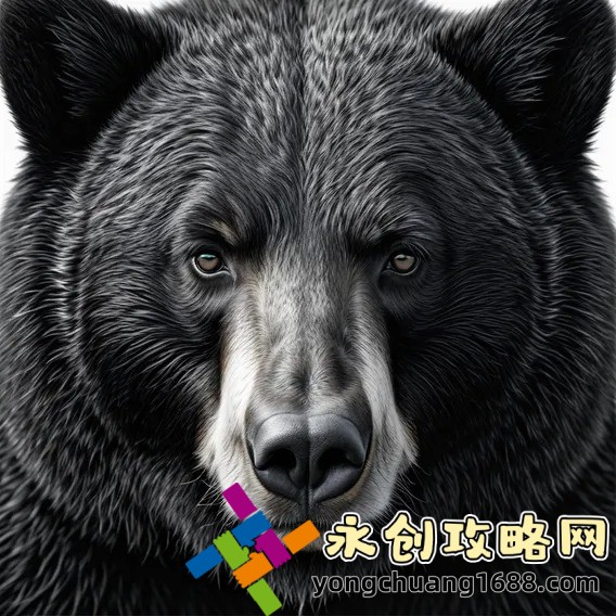 鋼鐵雄心4：鋼鐵雄心4怎么玩？詳細(xì)攻略讓你稱(chēng)霸世界！